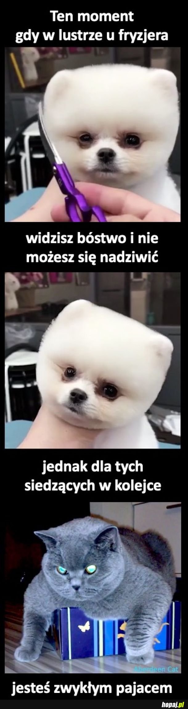 U fryzjera 