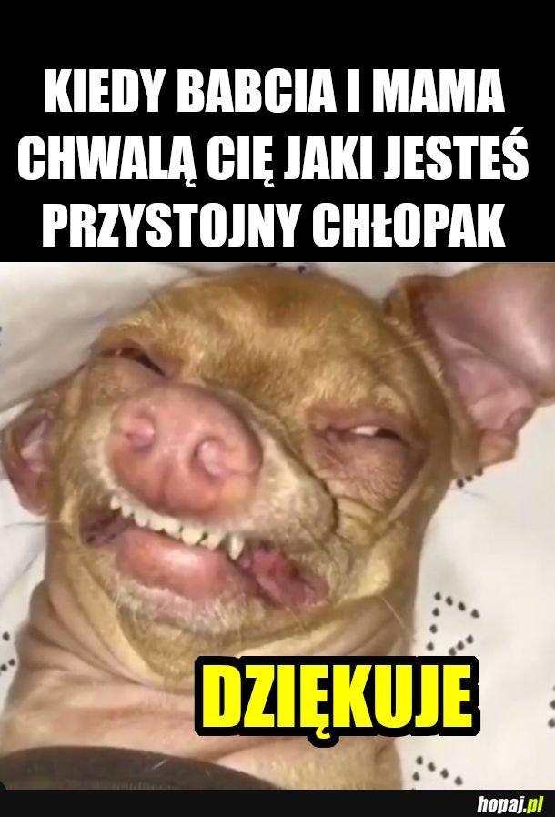 Zapewne jestem dla kogoś