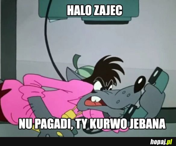 Wilk i zając