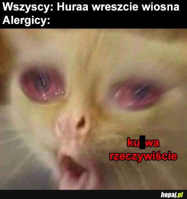 Wiosna nadeszła