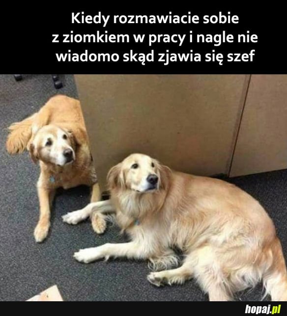 Najgorzej