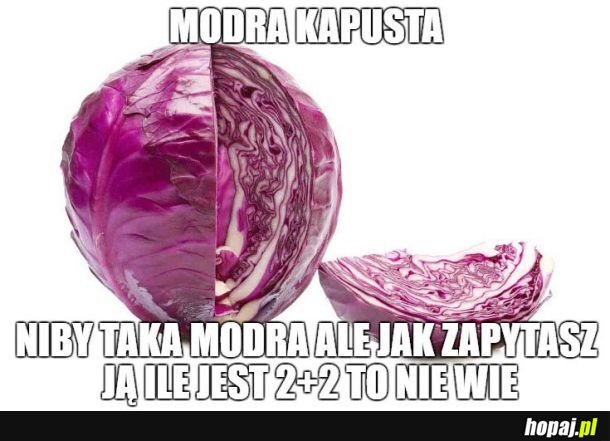 Modra kapusta