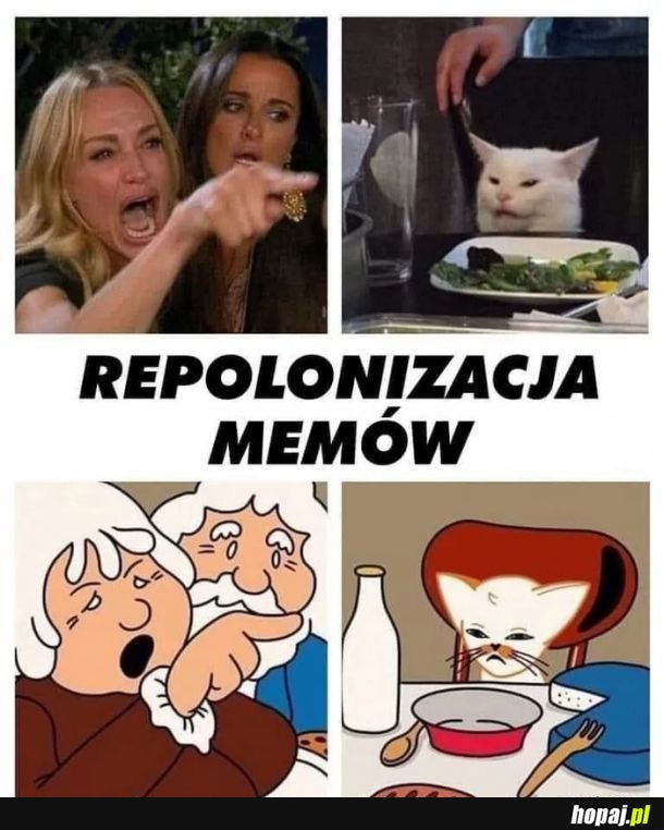 Repolonizacja memów