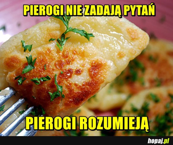 PIEROGI MAJĄ RACJĘ