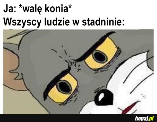 WALENIE 