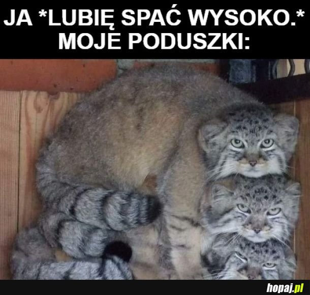 Ta na dole ma dość