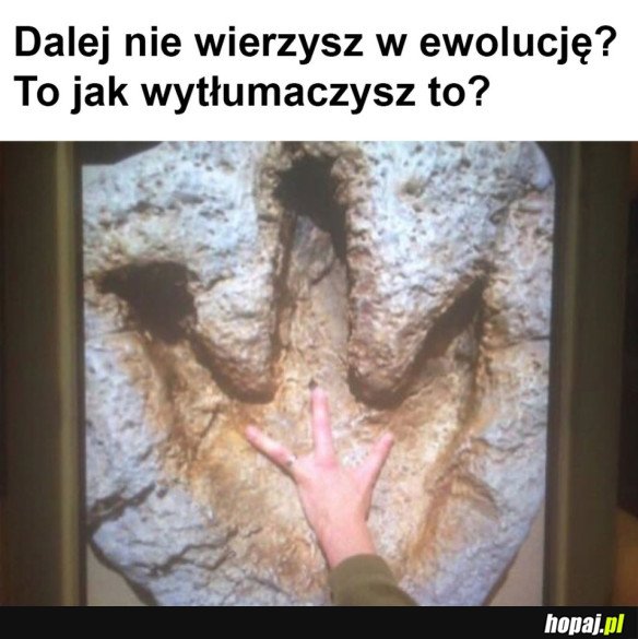 JAK WYTŁUMACZYSZ TO?