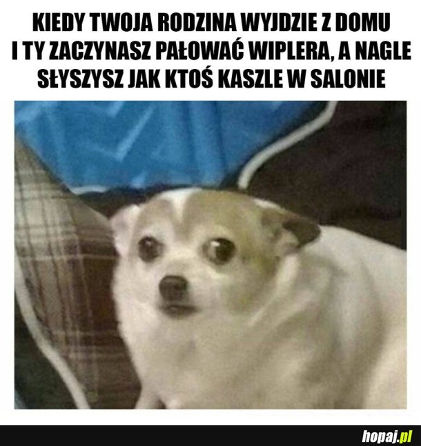 TROCHĘ SIĘ POŚPIESZYŁEM