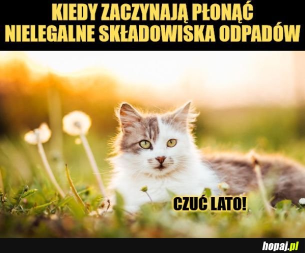 Lato