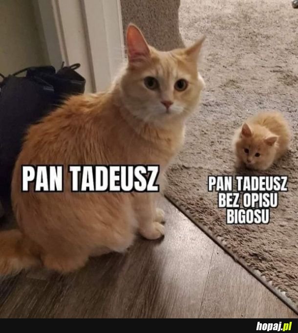 Pan Tadeusz