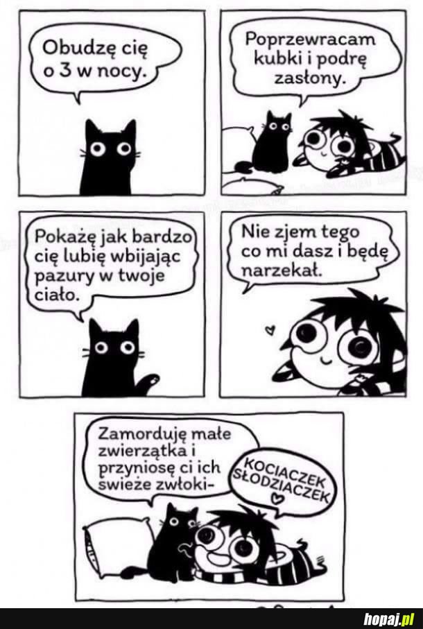 Maszynki do zabijania