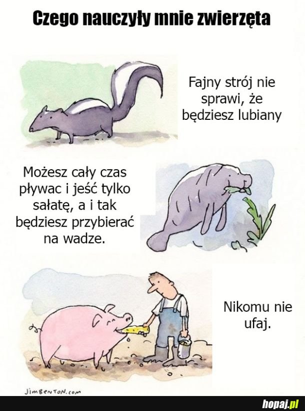 Czego nauczyły mnie zwierzęta