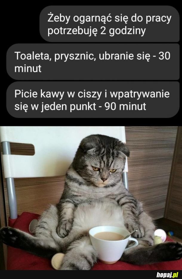 Ogarnianie się do pracy