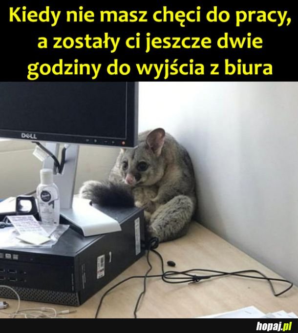 Długo jeszcze