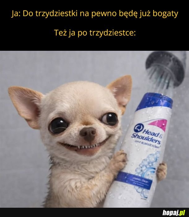 Dobrze idzie, już niedługo na pewno się uda