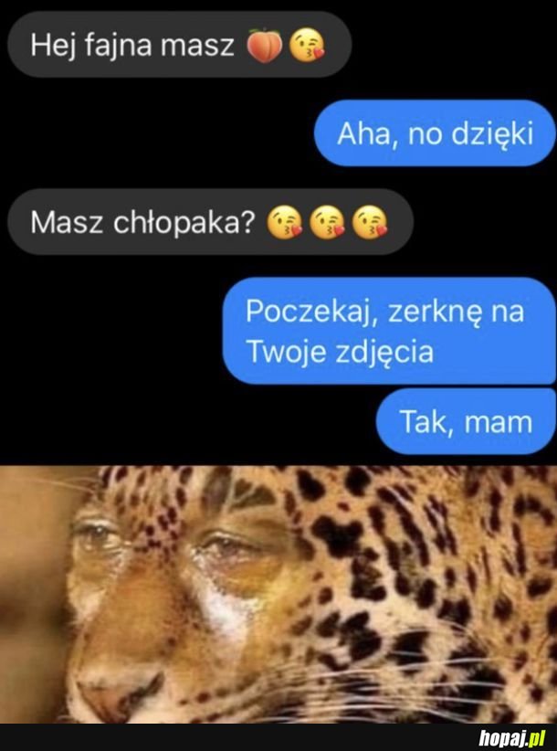Przystojniak