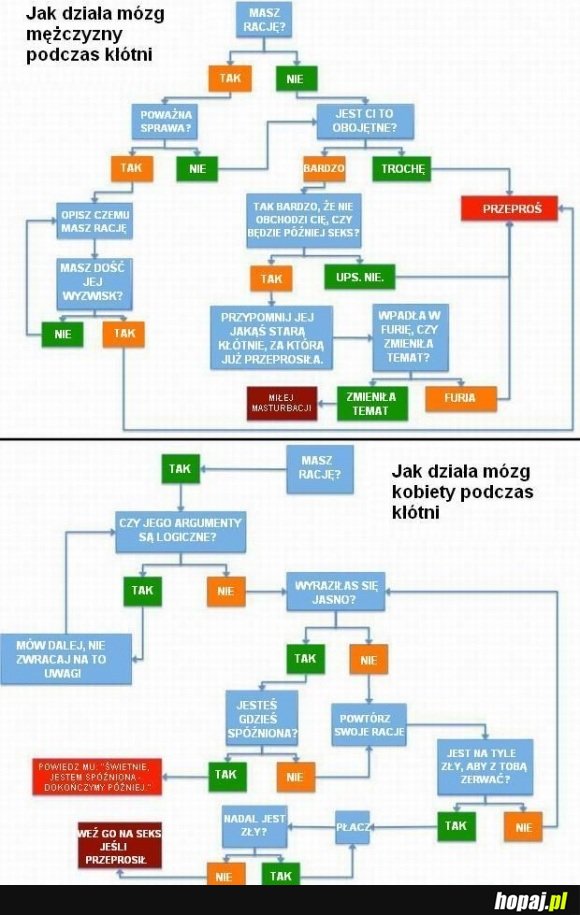 Jak działa mózg mężczyzny i kobiety podczas kłótni