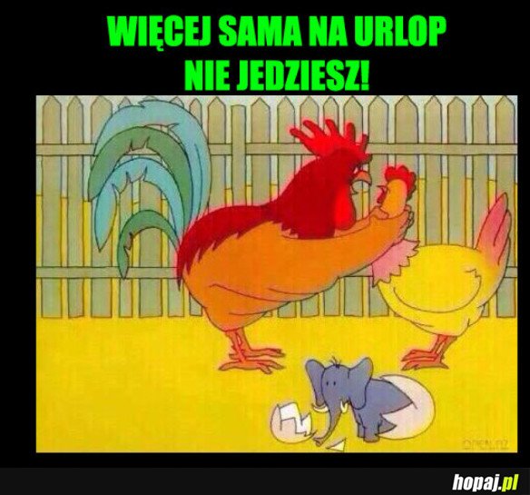 PO URLOPIE