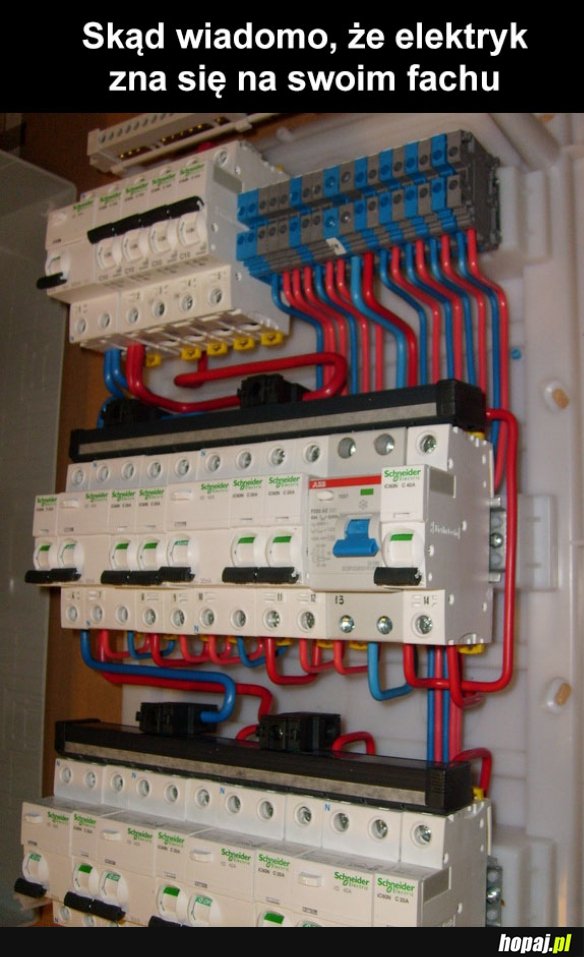 Elektryk z powołania