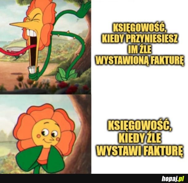 Księgowość. 