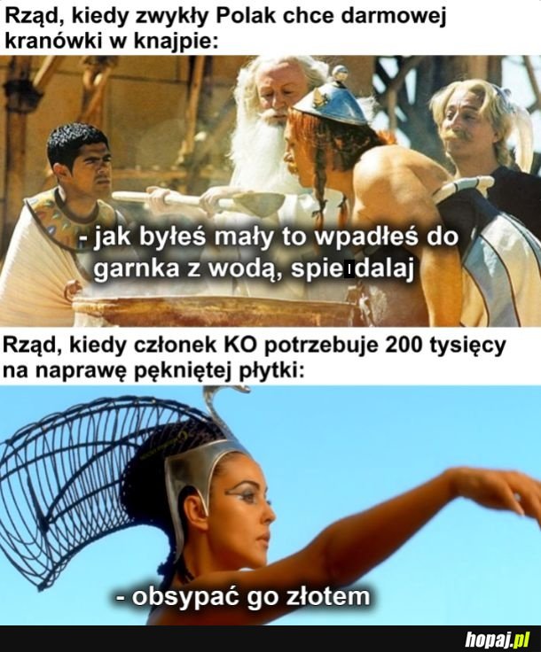 Nie dla psa
