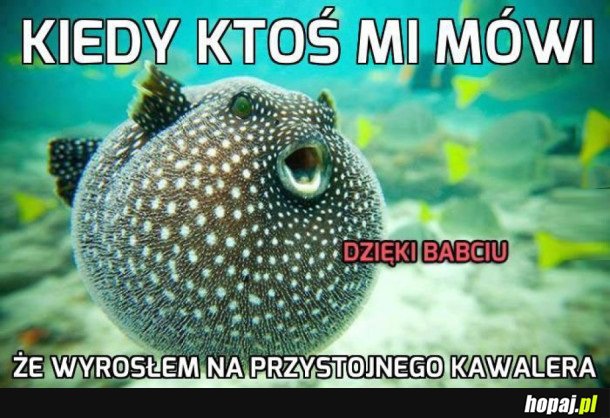 BABCIA ZAWSZE POSŁODZI