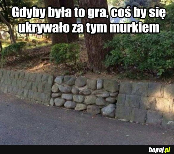 Gdyby to była gra