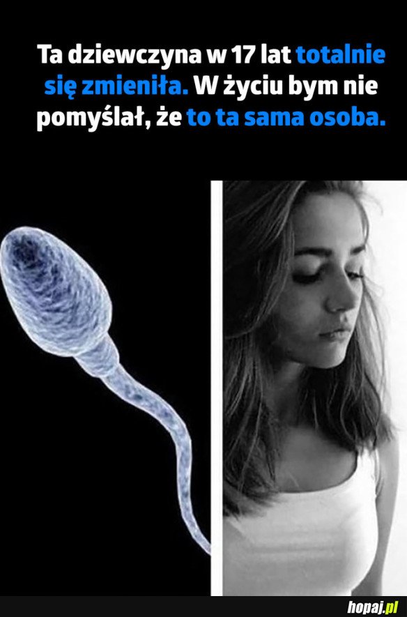 RZECZY NIE DO OGARNIĘCIA