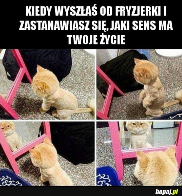 SKĄD PRZYCHODZIMY? DOKĄD ZMIERZAMY?