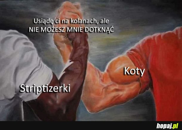 Pewnie nie tylko to mają wspólne ze sobą