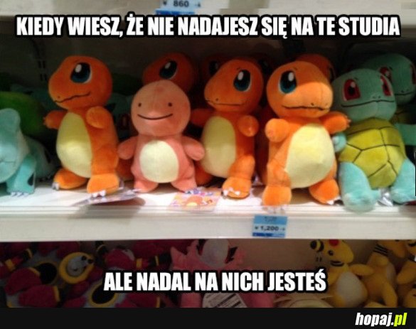 KIEDY WIESZ, ŻE NIE NADAJESZ SIĘ NA TE STUDIA