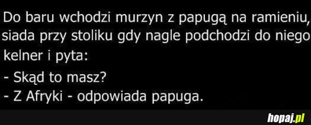Krótka piłka