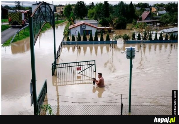 Jeżyk uratowany