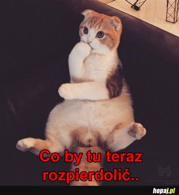 Co by tu... ?