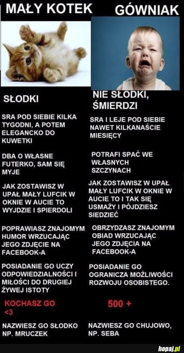 KOTEK VS DZIECKO