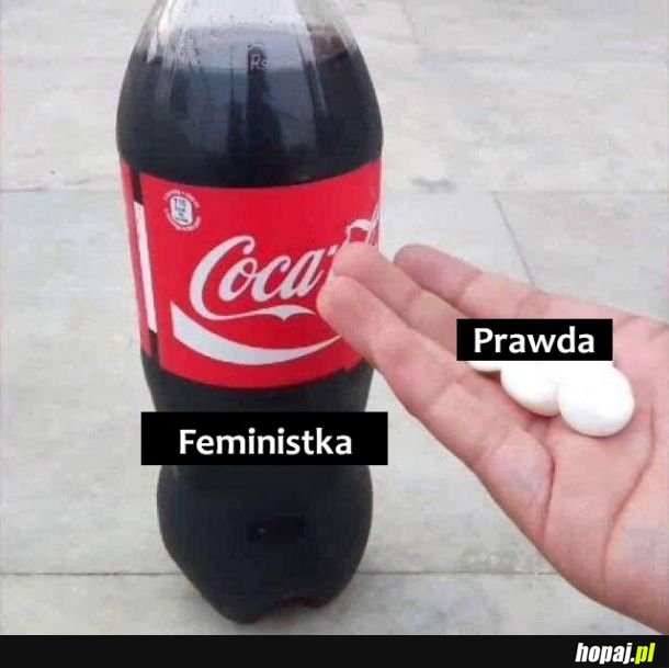 Feministka 