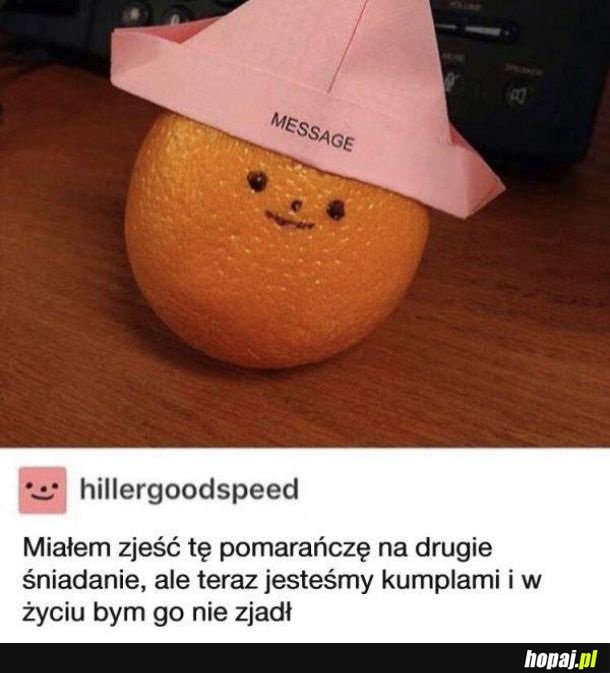 Nie mógłbym