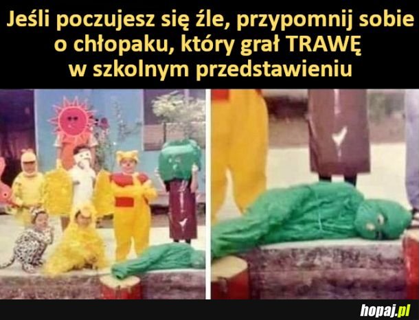 Ja kiedyś grałem konia w Kopciuszku :|