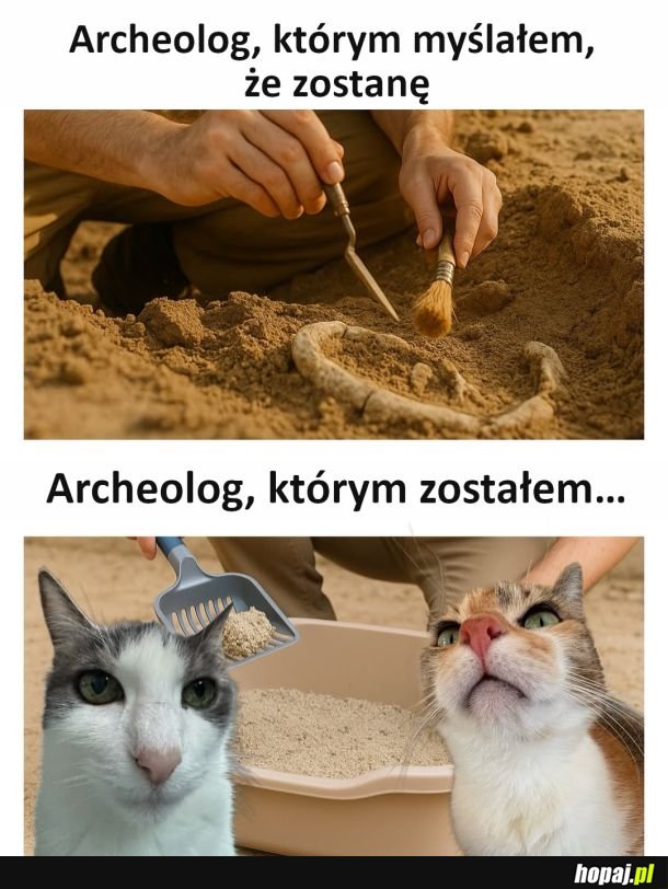 Archeolog
