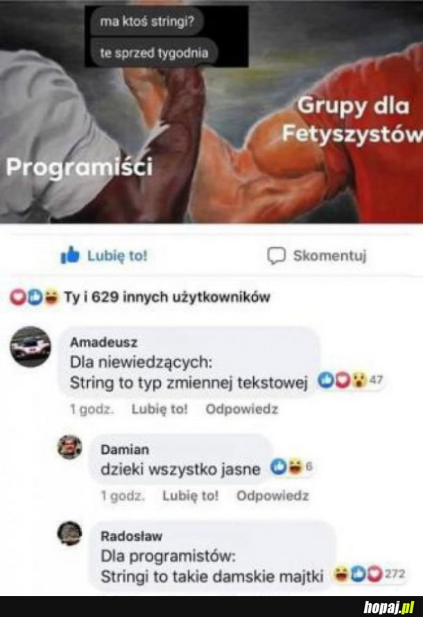 Programiści