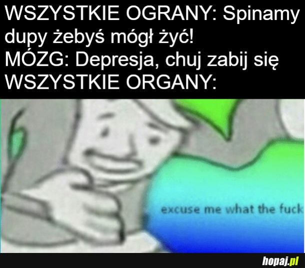 Mozgu stahp