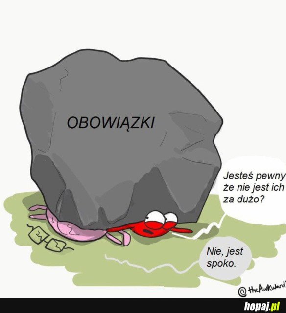 ŻYCIOWE OBOWIĄZKI