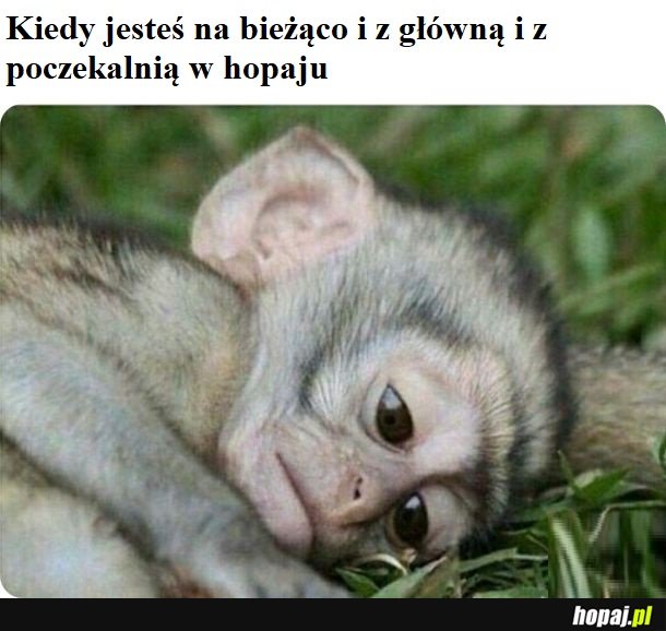 Smuteczek