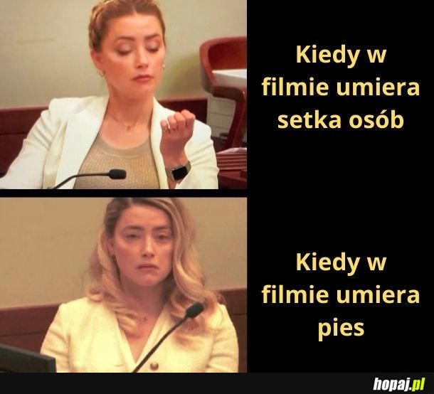 Biedny piesio :(