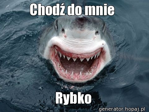 Chodź do mnie 