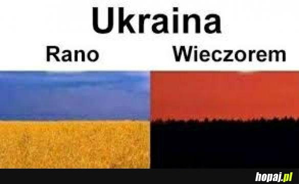 Cała prawda o Ukrainie