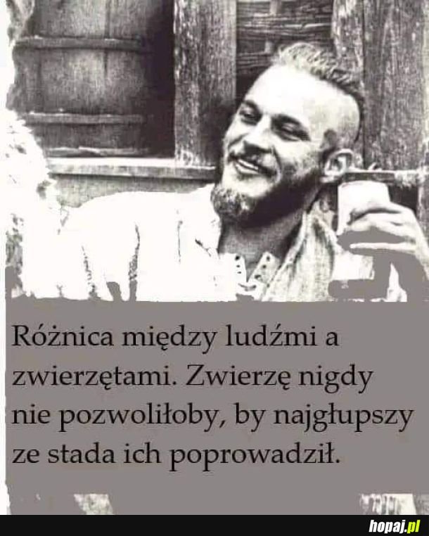 Znacząca różnica...