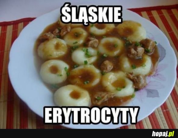 Śląsk