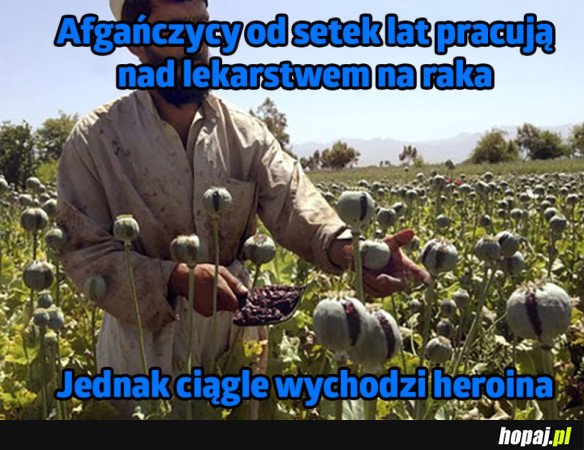 AFGAŃSKA MEDYCYNA