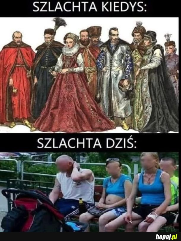 Szlachta
